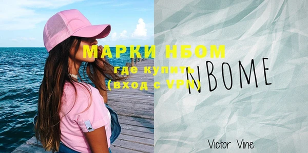 амф Верхний Тагил