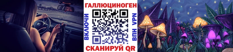 omg tor Нелидово Псилоцибиновые грибы Psilocybine cubensis